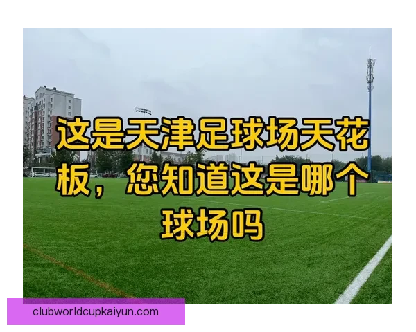 足球球场介绍：关键因素与历史背景分析