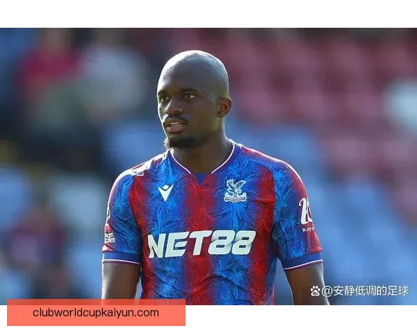 布莱顿在新赛季战术调整备受关注，球队竞争力持续提升